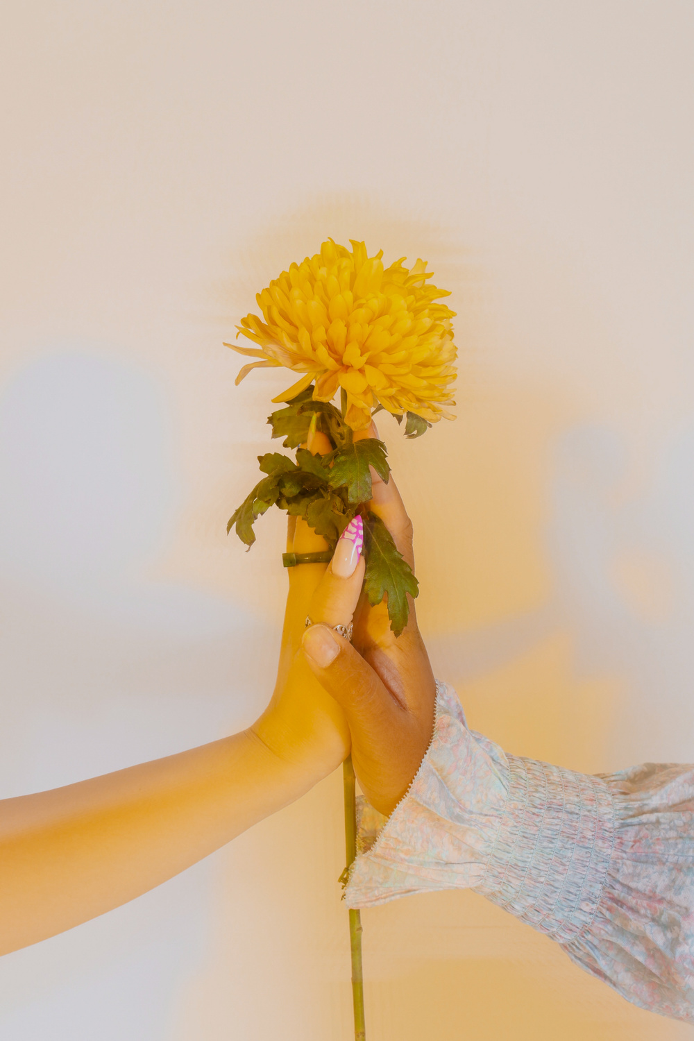 Hands with Yellow Flower Together 